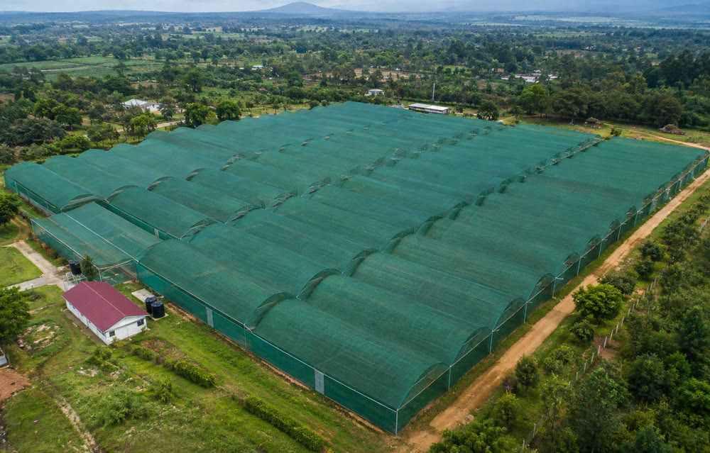 Aerial view of a shade net covered farm structure supplied by Eunidrip Shade Net Supplier in Kenya